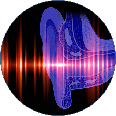 Illustration of ear and soundwaves
